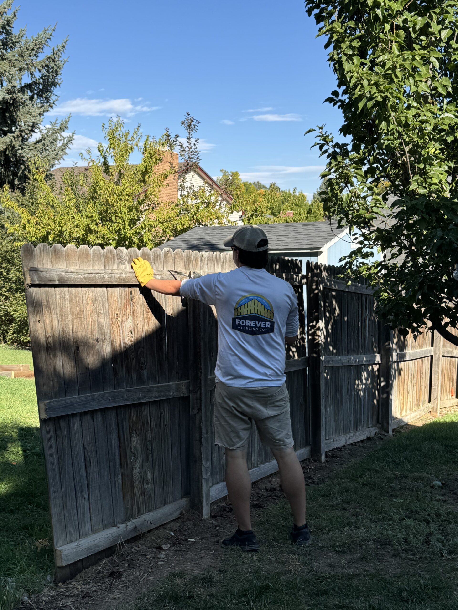 Before fence replacement showing old damaged fence in Colorado